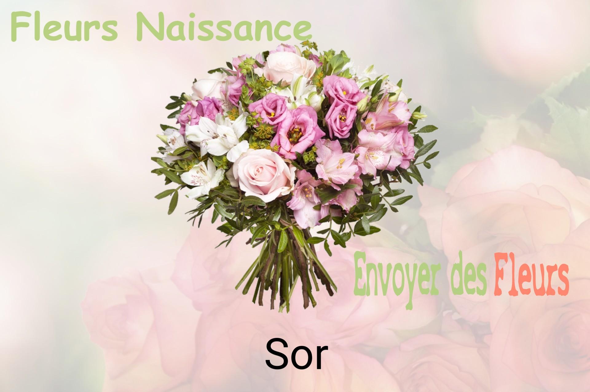 Bouquet de fleurs de naissance livré à Sor